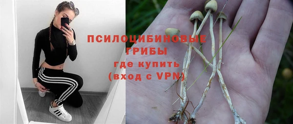 стаф Арсеньев