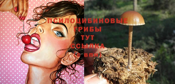 гашик Балахна