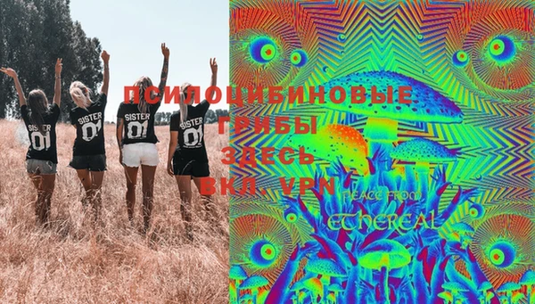 гашик Балахна