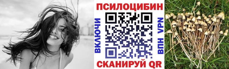 Галлюциногенные грибы мицелий  Спас-Клепики 