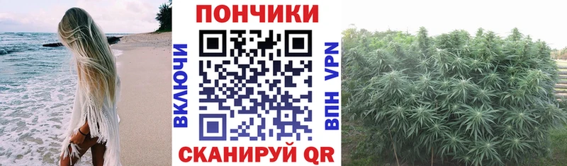 Шишки марихуана Ganja  Спас-Клепики 